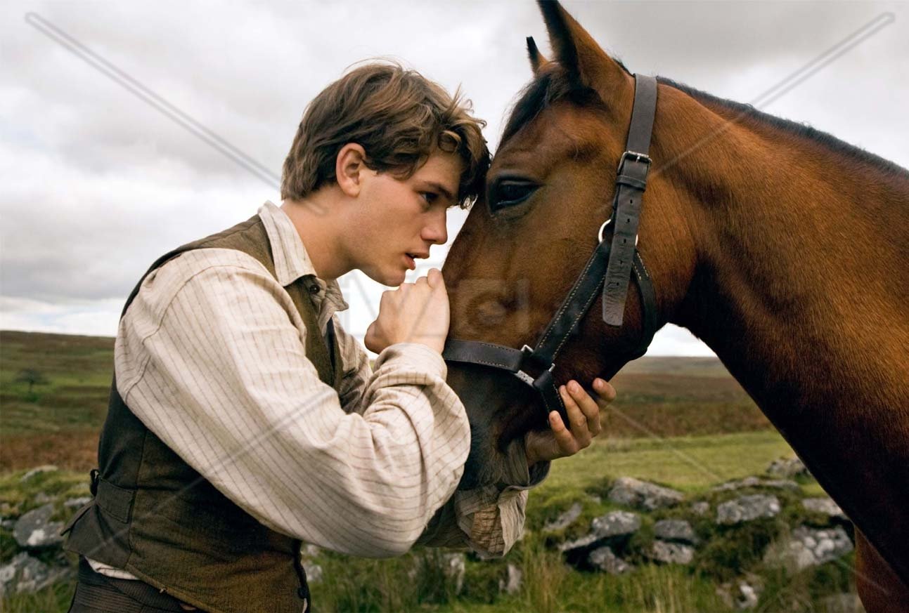 horse