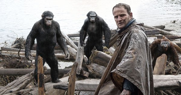 apes
