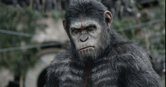 apes3