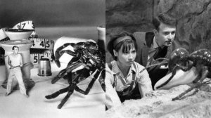 the-incredible-shrinking-man-1957-_166791-fli_1407852680