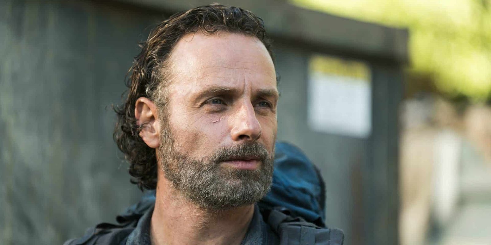the walking dead