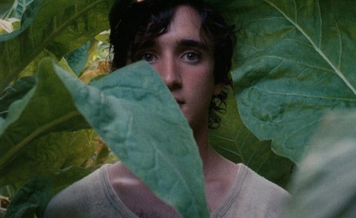 david 2019