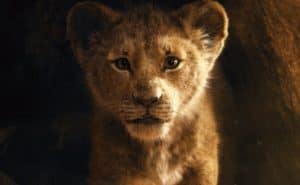 il re leone