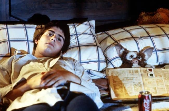 zach galligan e gizmo zach galligan e gizmo