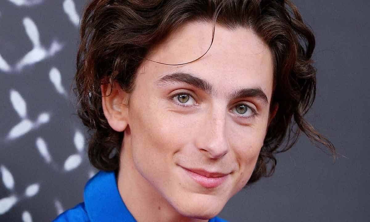 timothee chalamet newscinema compressed