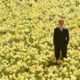 big fish newscinema