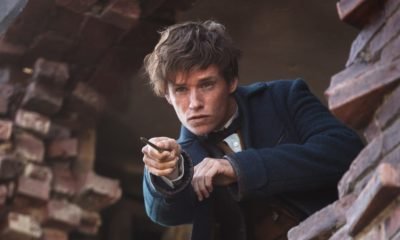 eddie redmayne evi newscinema
