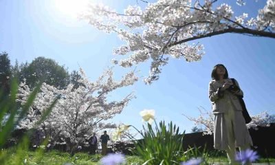 10 attività da poter fare in Primavera