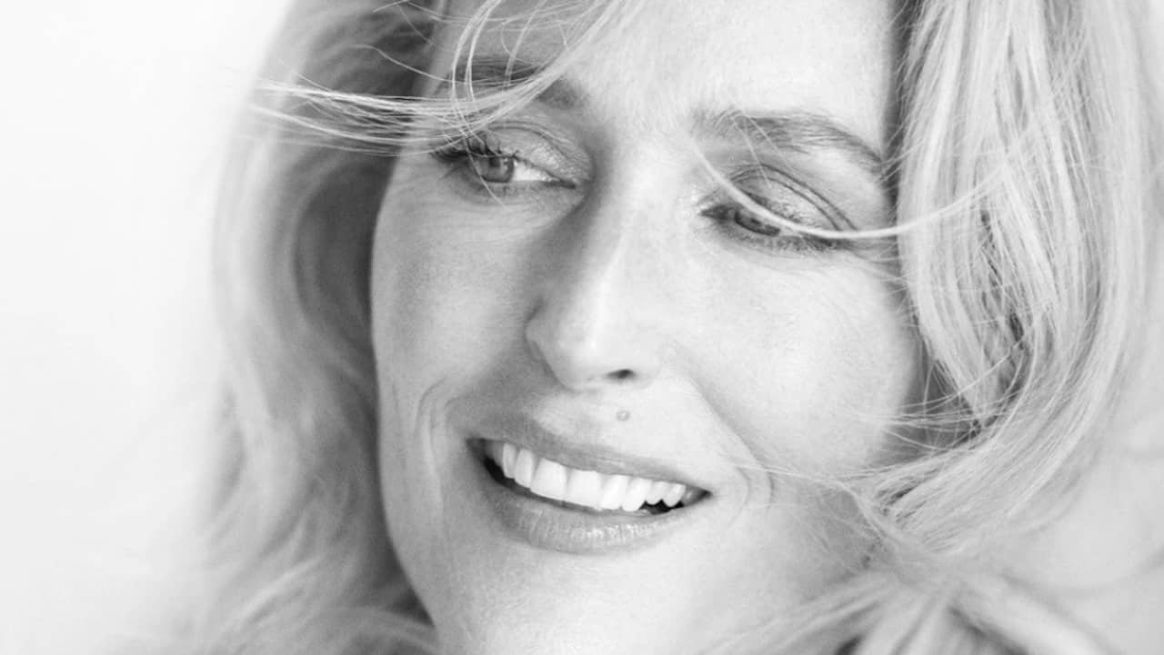 gillian anderson Netflix