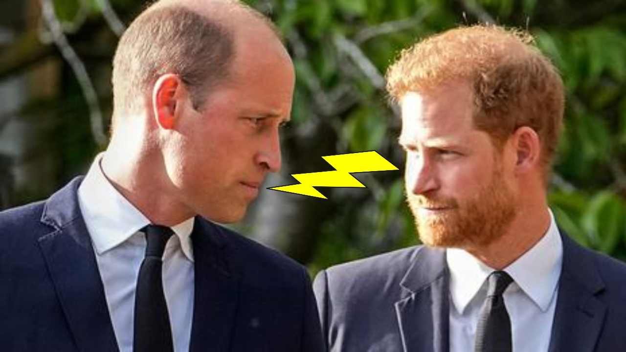 Harry e William litigio