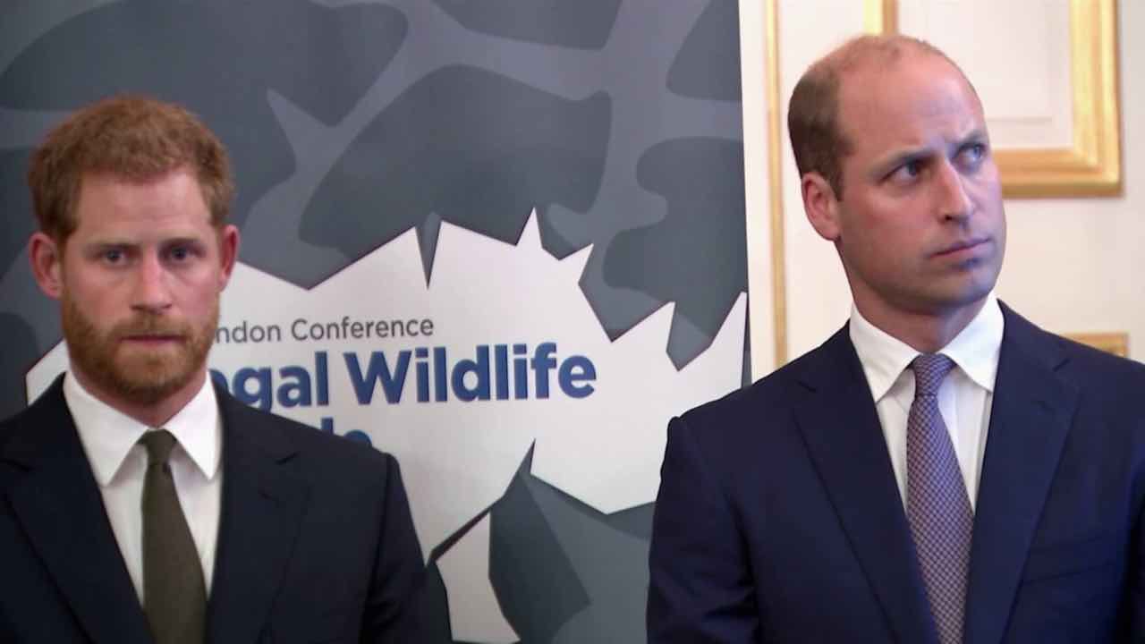 Harry e William - Fonte_web - newscinema.it