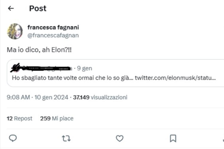 Post Fagnani per Musk