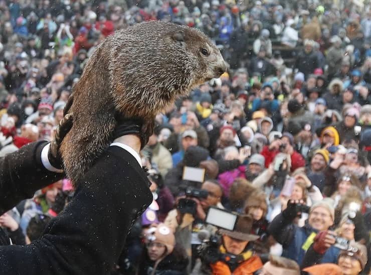 Il Giorno della Marmotta