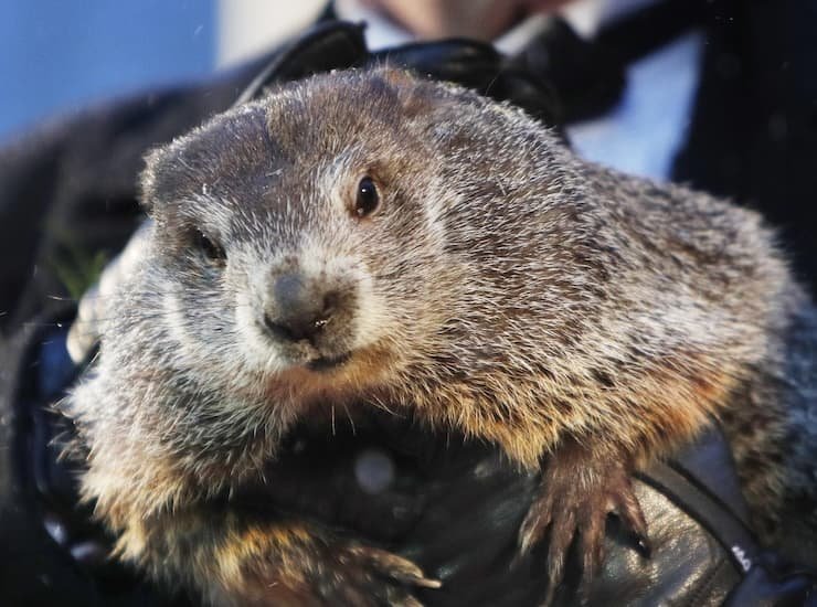 Il Giorno della Marmotta