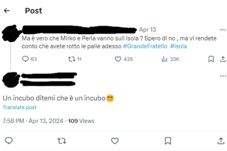 Perla e Mirko all'Isola dei famosi?