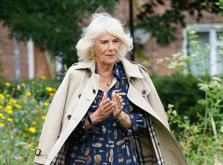 Camilla - fonte_web - newscinema.it