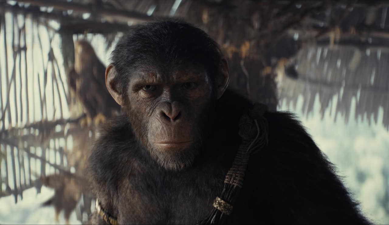 Il Pianeta delle Scimmie: come vedere tutti i film della saga in ordine cronologico