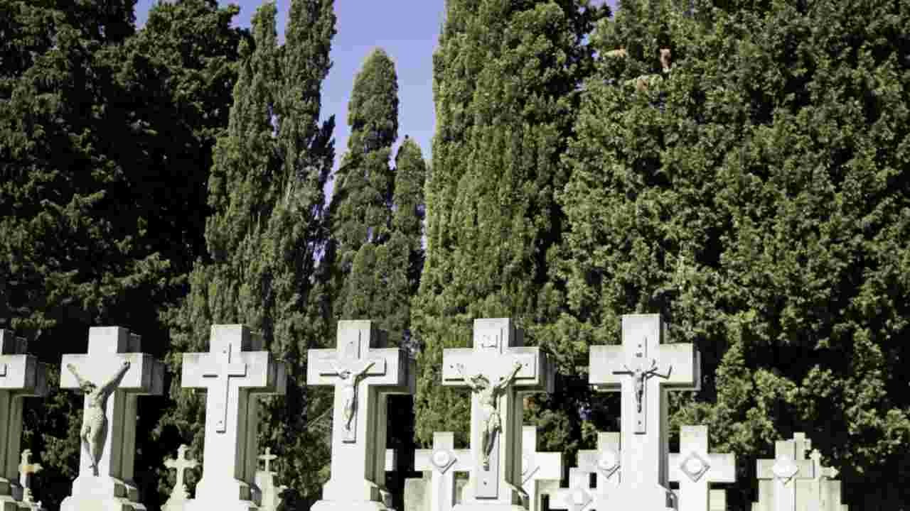Cipressi nei cimiteri svelato il motivo