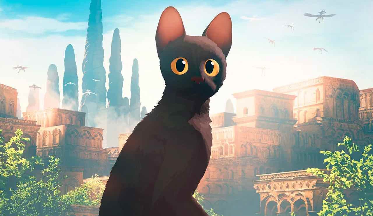 Il gatto protagonista di Flow (fonte: Teodora Film)