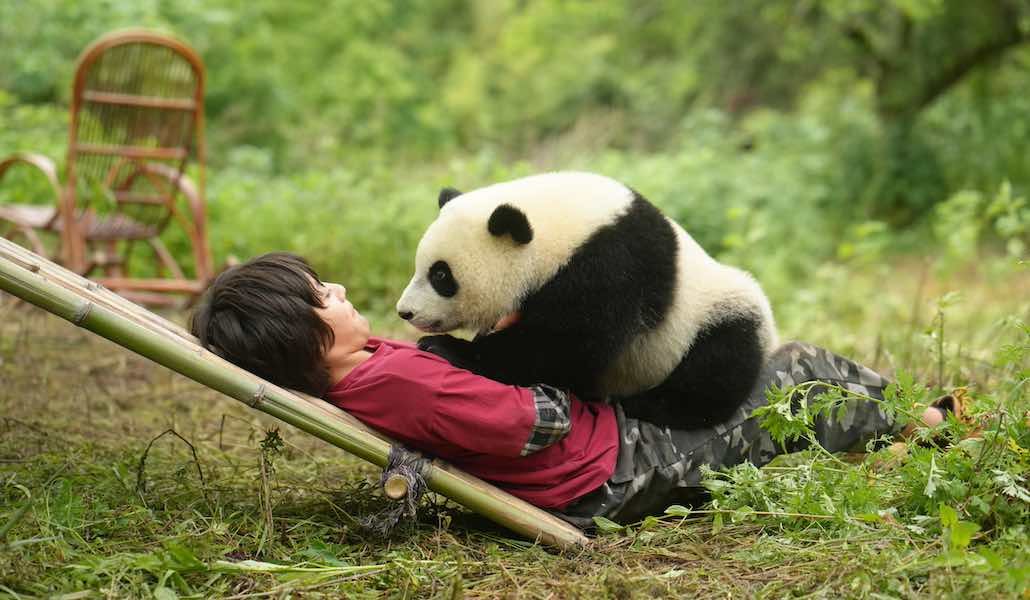 Una still da Moon il panda (fonte: 01 Distribution) - NewsCinema.it