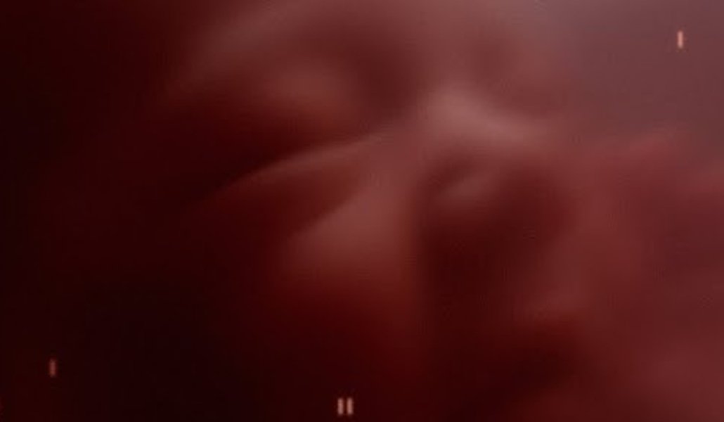 Ancestra di Eliza McNitt (fonte: Primordial Soup) - NewsCinema.it