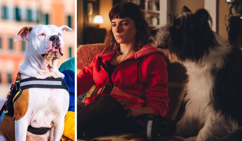 Che fine ha fatto Linneo? Il cane in Blanca 3 sparisce e arriva un nuovo amico a 4 zampe cane Blanca 3