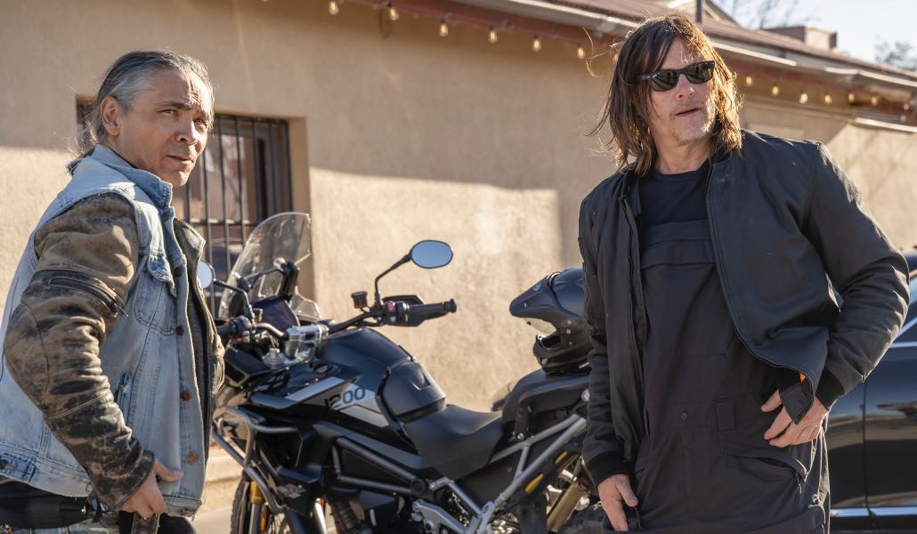 Daryl Dixon 3