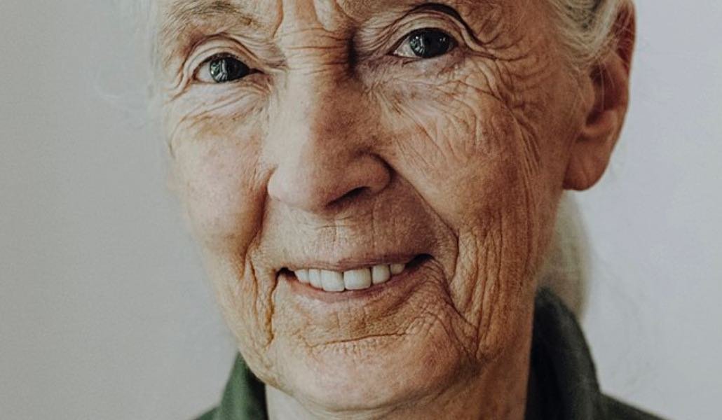 Jane Goodall
