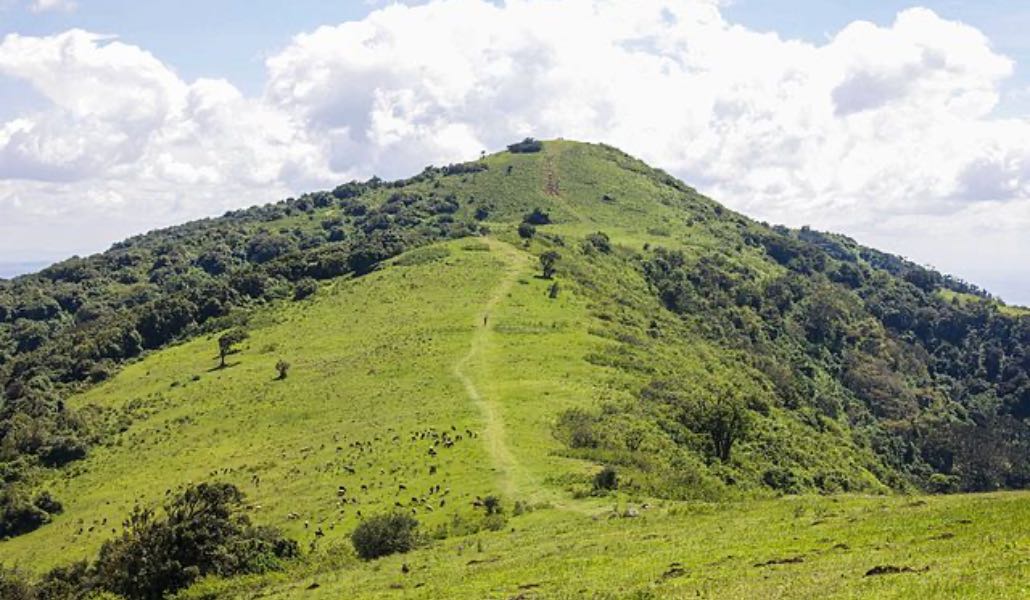 Ngong Hills