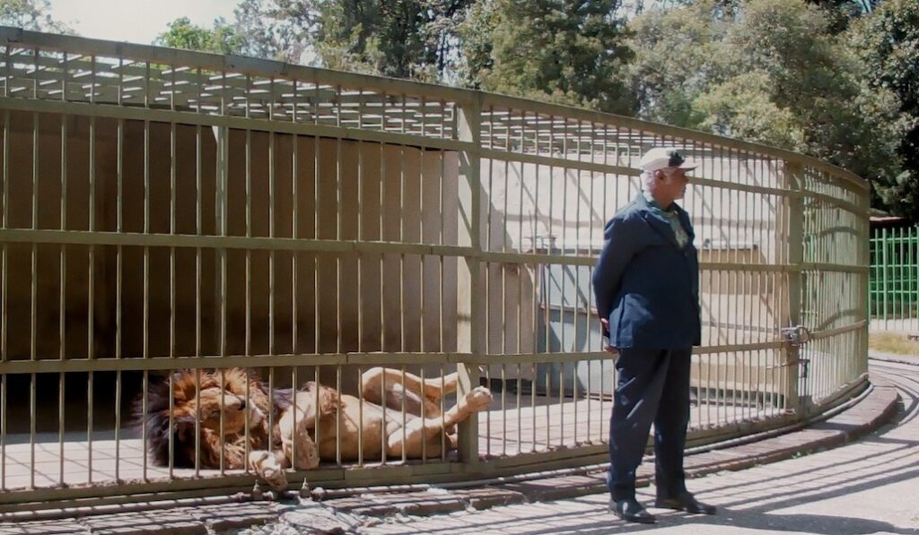 Wax & Gold di Ruth Beckermann