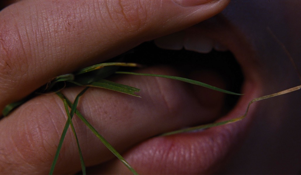 Margot Robbie Cime Tempestose