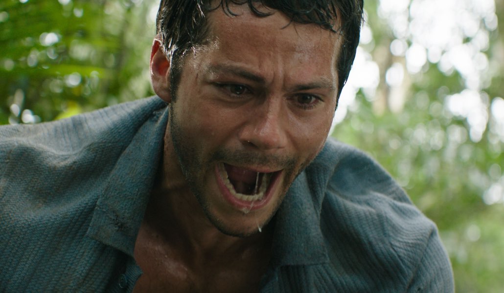 Dylan O'brien in Send Help