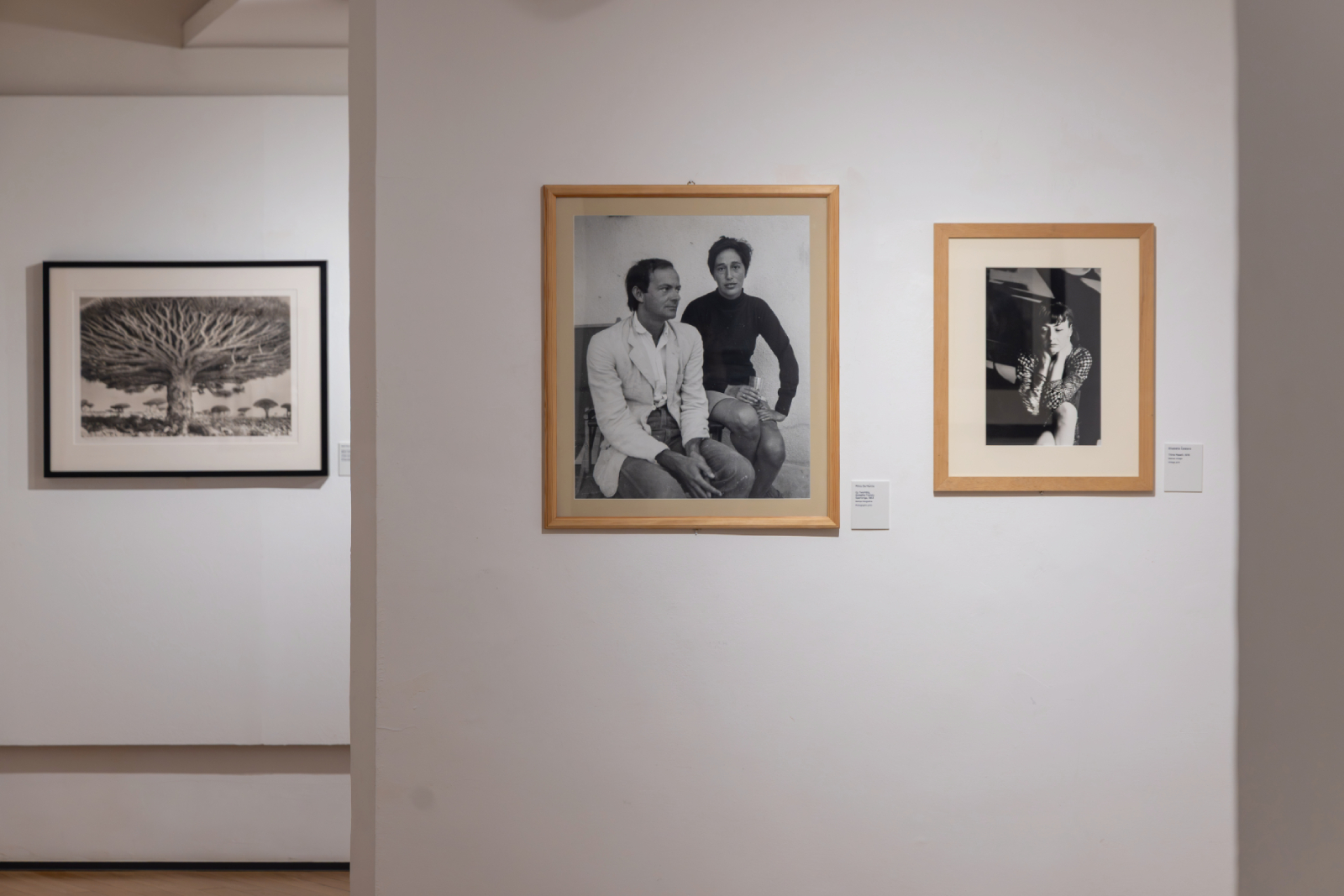 Mostra Museo Carlo Bilotti