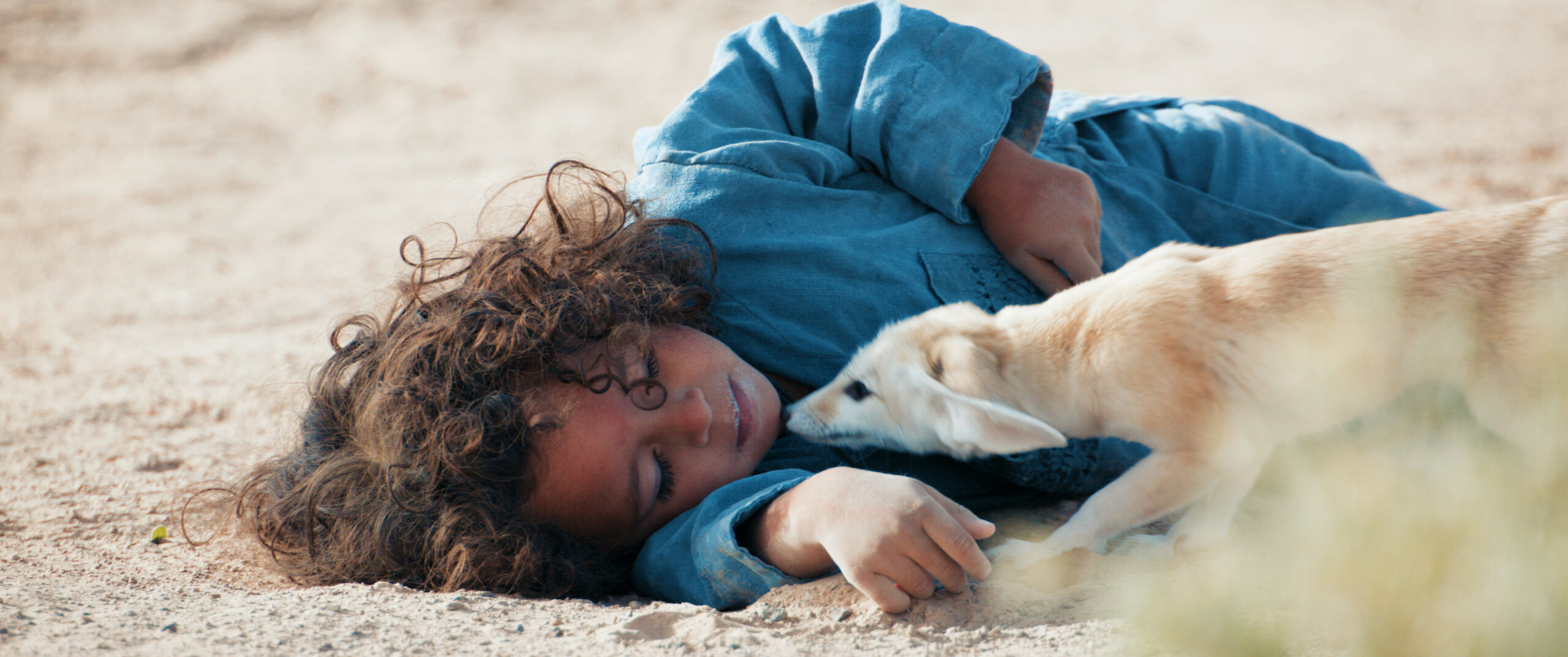 Il figlio del deserto trama