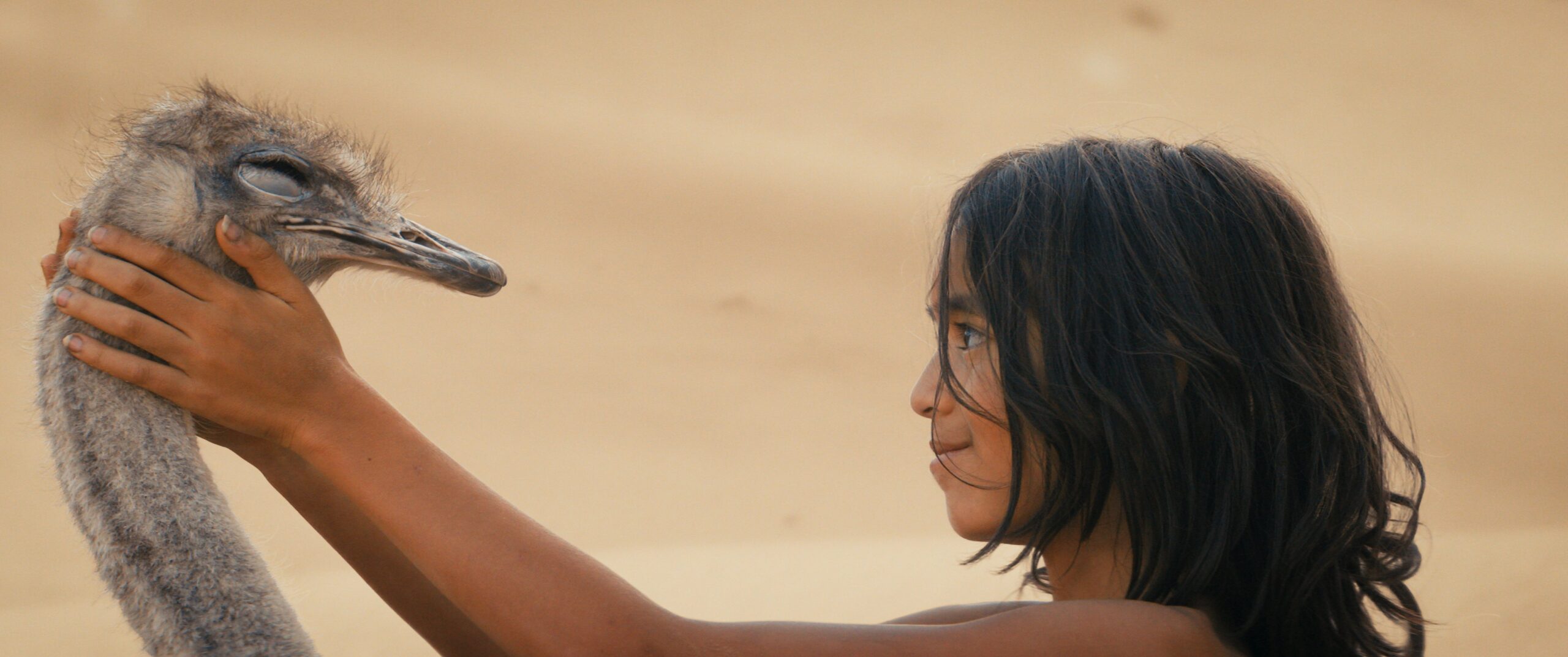 Il figlio del deserto al cinema