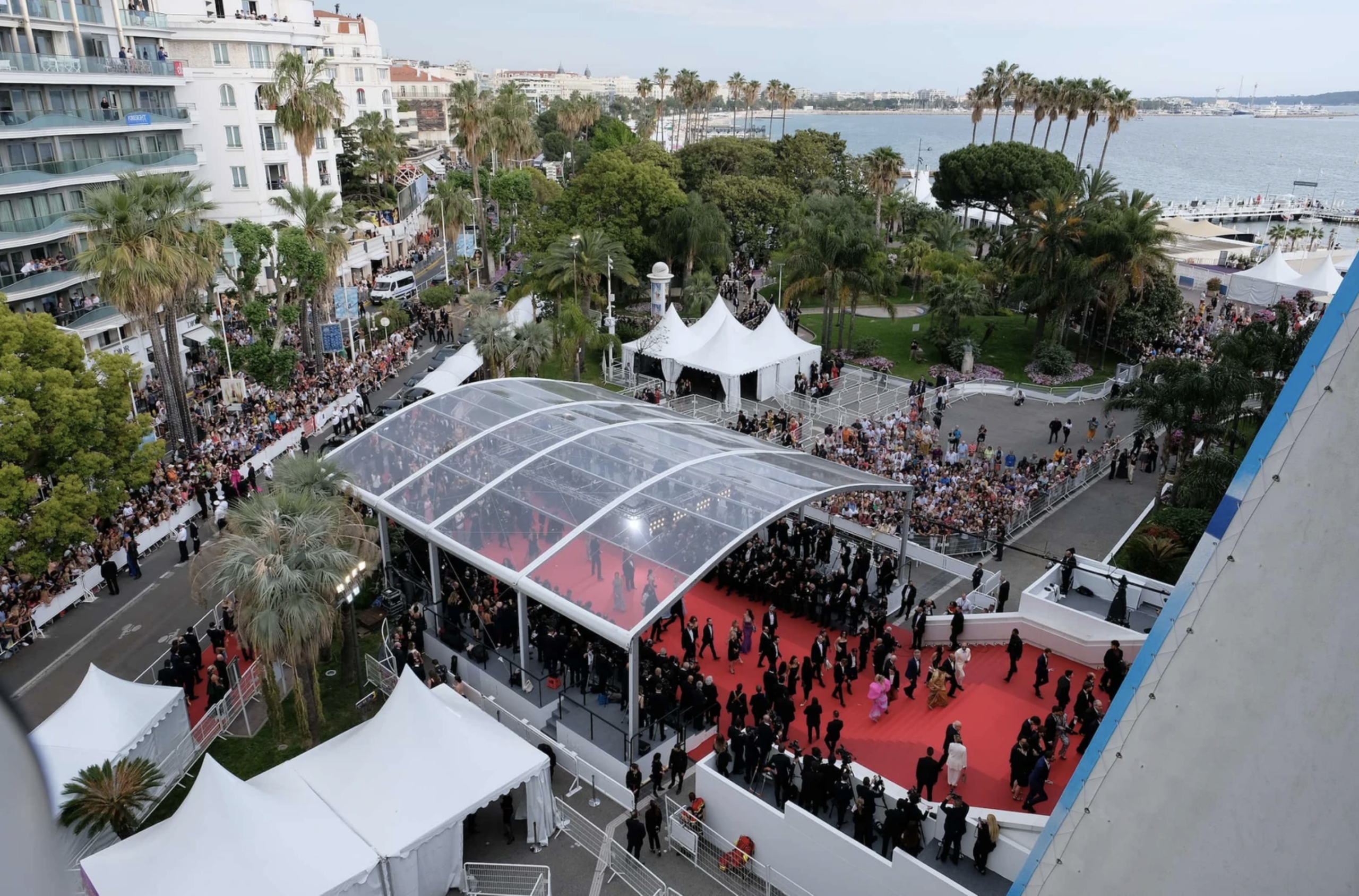 Cannes film festival